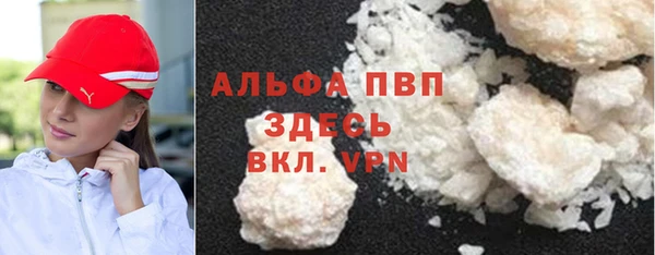 крисы Алексин