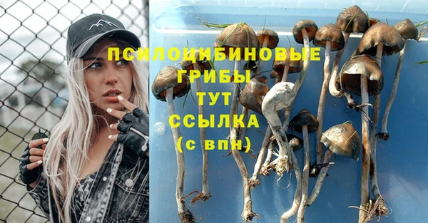 mix Алексеевка