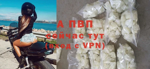 крисы Алексин